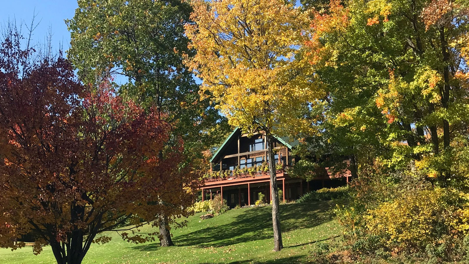 Telemark turning of leaves.jpg